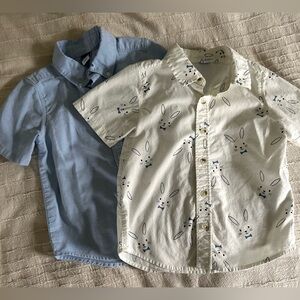 Bunny and blue button downs